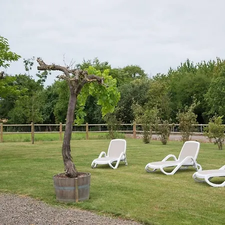 Vakantiehuis Maison Renovee Avec Grand Jardin, Proche Des Sables-d'olonne, 4 Chambres, Terrasse Et Wifi - Fr-1-426-187