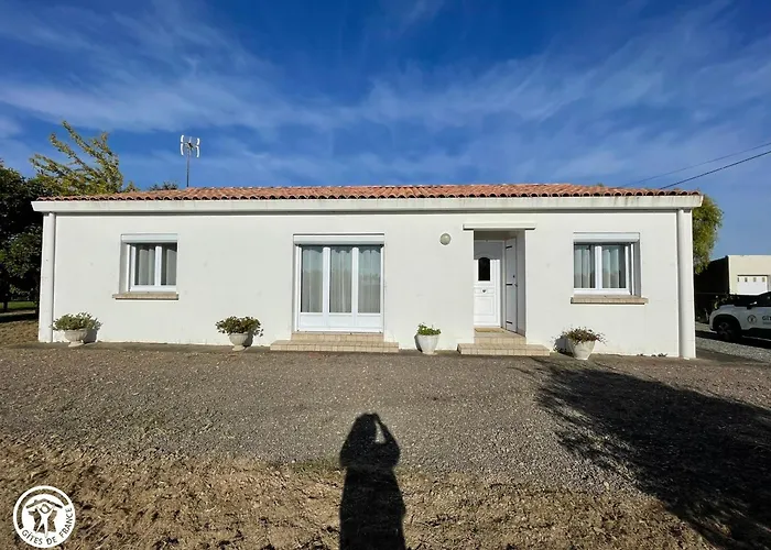 Maison Renovee Avec Grand Jardin, Proche Des Sables-d'olonne, 4 Chambres, Terrasse Et Wifi - Fr-1-426-187